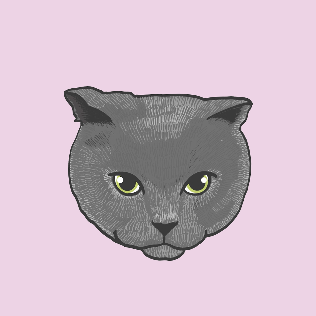 2025年10月15日 販売終了】EVERYDAY FACE MASK – TAOYA official web shop